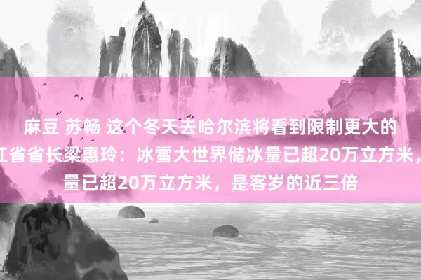 麻豆 苏畅 这个冬天去哈尔滨将看到限制更大的冰雪王国！黑龙江省省长梁惠玲：冰雪大世界储冰量已超20万立方米，是客岁的近三倍