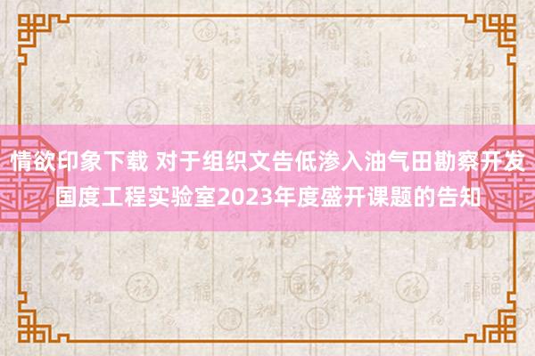 情欲印象下载 对于组织文告低渗入油气田勘察开发国度工程实验室2023年度盛开课题的告知