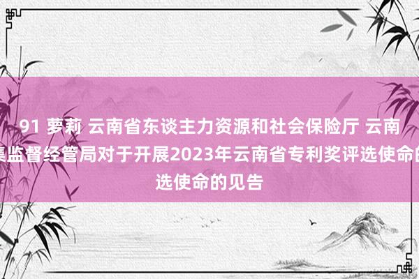 91 萝莉 云南省东谈主力资源和社会保险厅 云南省市集监督经管局对于开展2023年云南省专利奖评选使命的见告