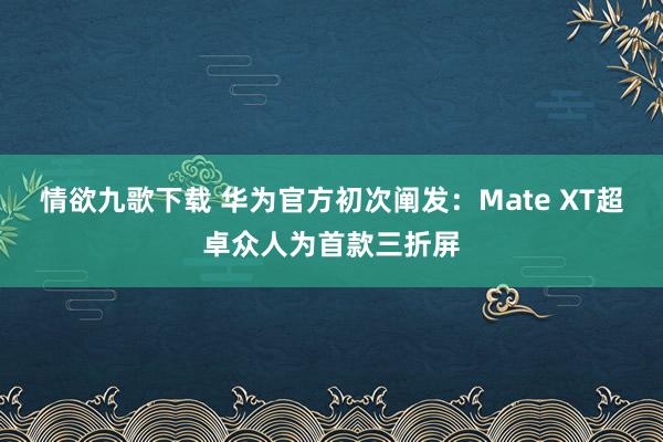 情欲九歌下载 华为官方初次阐发：Mate XT超卓众人为首款三折屏