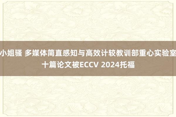 小姐骚 多媒体简直感知与高效计较教训部重心实验室十篇论文被ECCV 2024托福